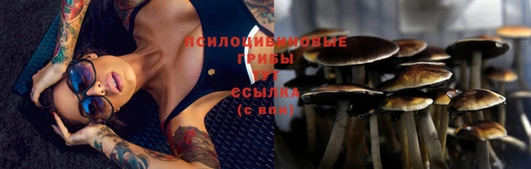 таблы Михайловск
