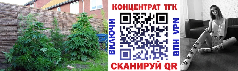 дарк нет телеграм Островной ТГК жижа как найти закладки